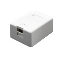 1-Port Surface Mount Box